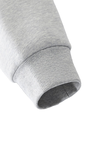 Sweatshirt,Casual,Cotton Blend,Long Sleeve,Drop Shoulder,Turtleneck,Crop,Spring,Autumn