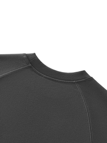 Sweatshirt,Casual,Sporty,Cotton Blend,Raglan Sleeve,Round Neck,Autumn,Winter